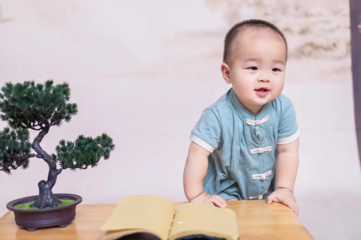 广州可爱的企鹅宝宝